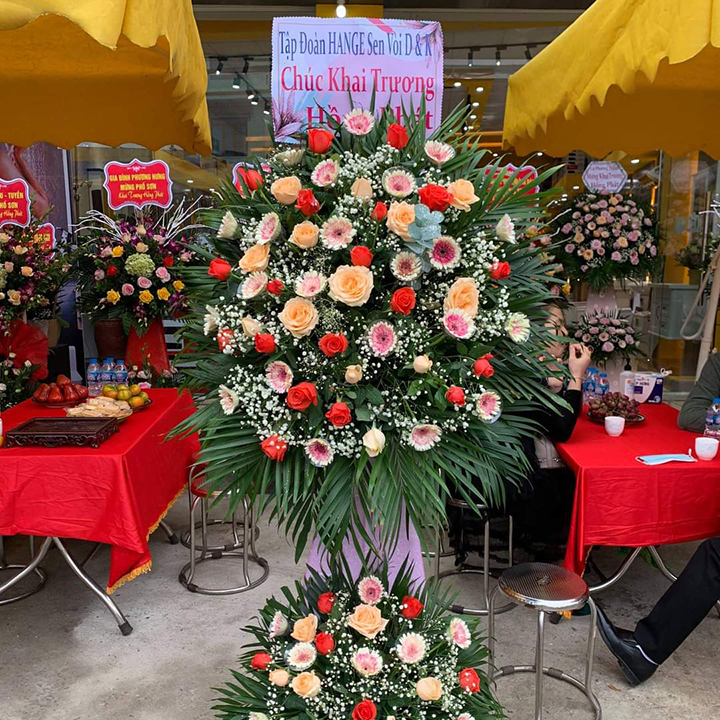 khai-truong-thiet-bi-ve-sinh-pho-son-thai-binh